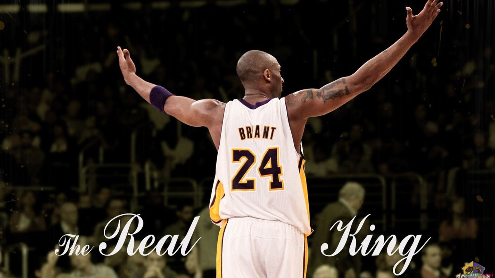 开云APP-逆转风暴中的新王加冕，拉梅洛用实力撕碎勇士，快船奇迹夜见证未来巨星崛起